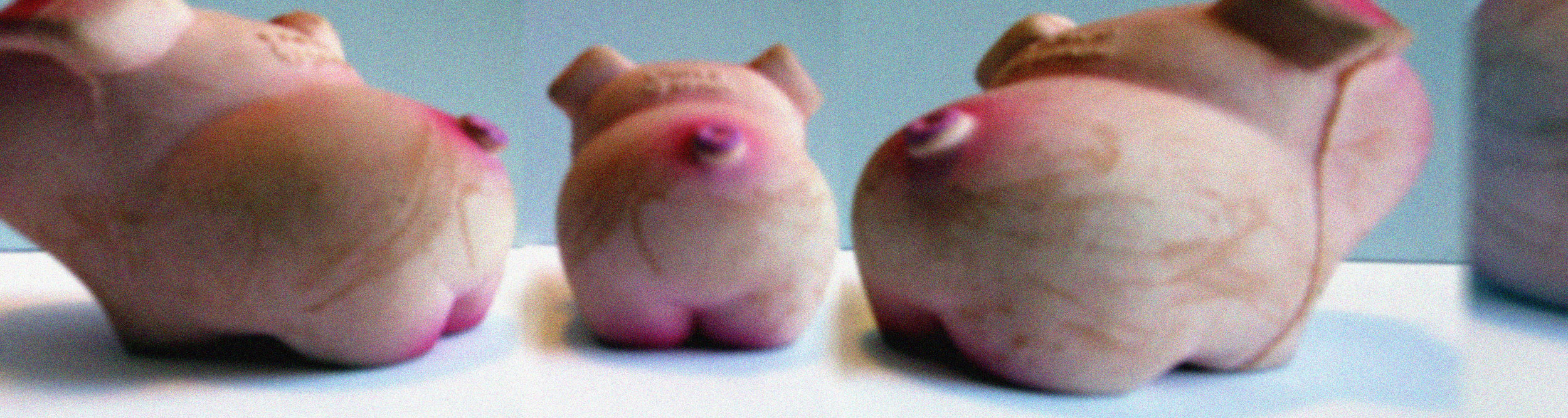 Pig Montage Long